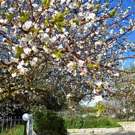 Appart hôtel Dafnoudi 2*