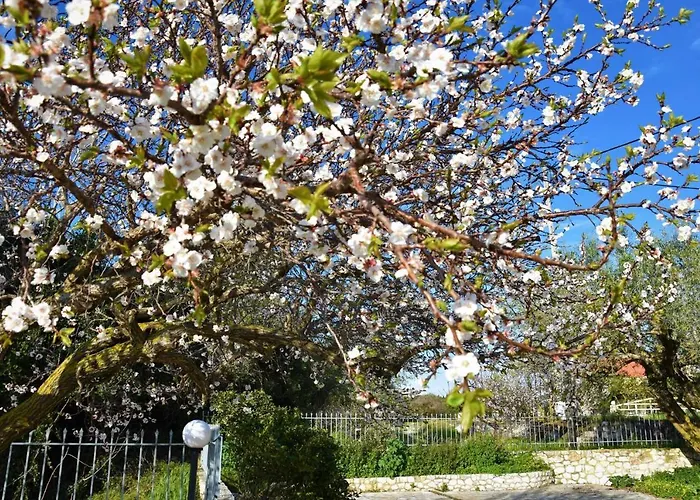 Aparthotel Dafnoudi 2*